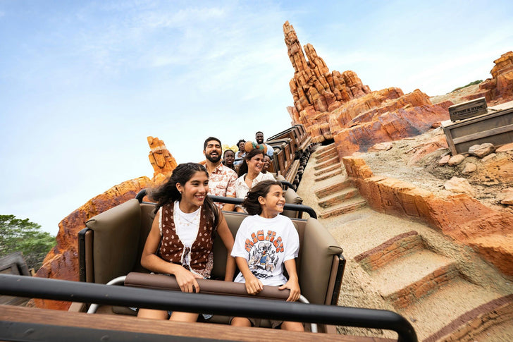 Walt Disney World® Resort 3-Day Park Hopper® Ticket