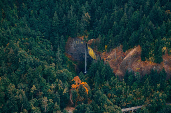waterfall in trees.jpeg