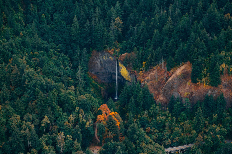 waterfall in trees.jpeg