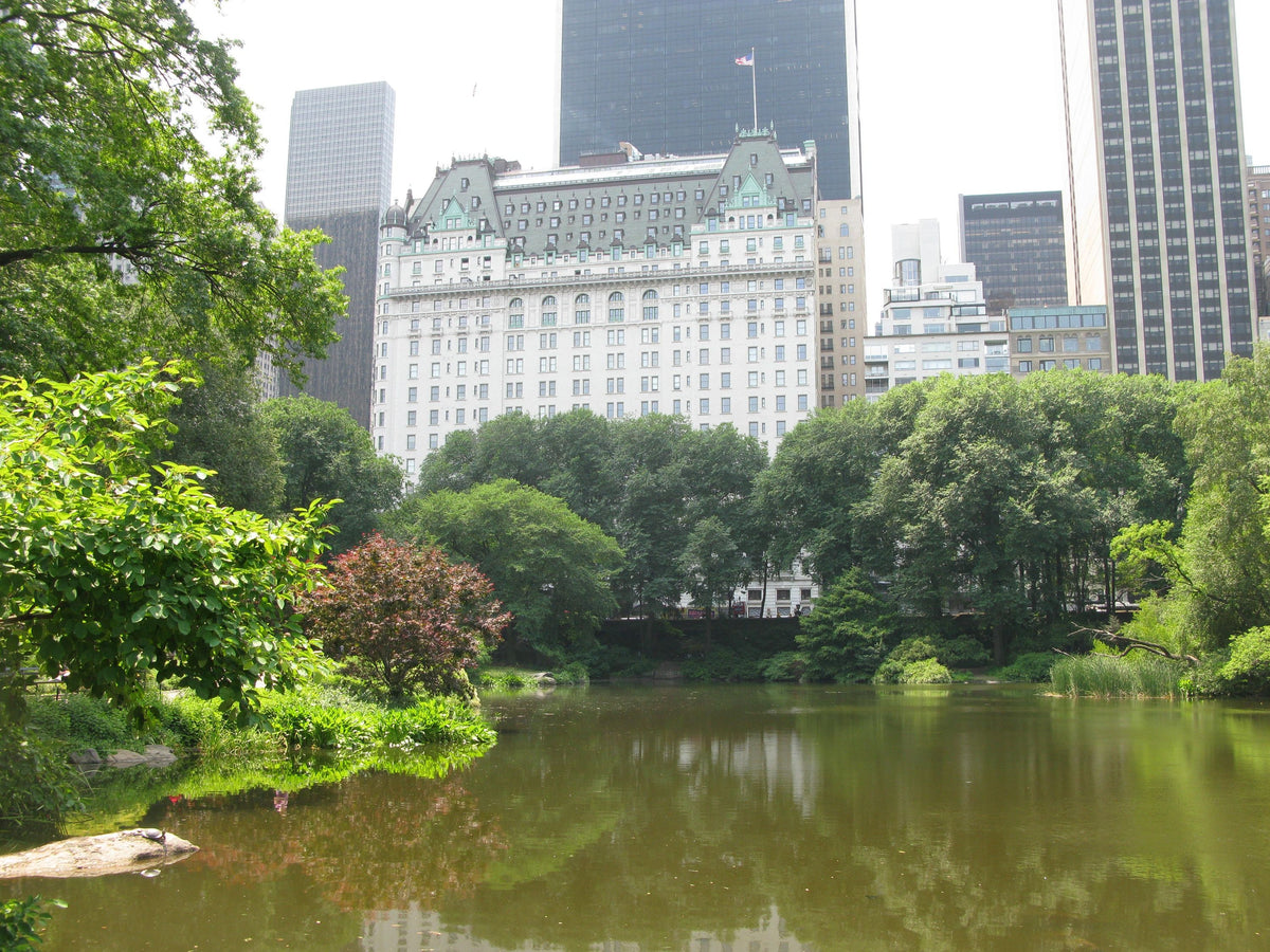 west-side-view-from-central-park-and-pond-jpg