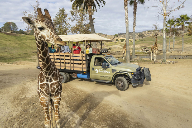 San Diego Zoo Safari Park 1 Day Pass