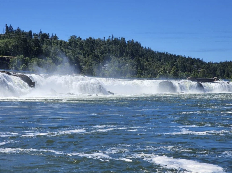 willamette-falls