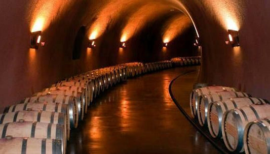 wine cave.jpeg