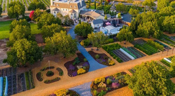 Sonoma County Wineries Wineries Near Me With Outdoor Seating