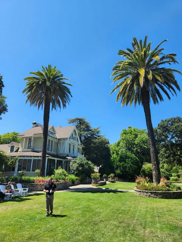 group wine tasting.jpeg