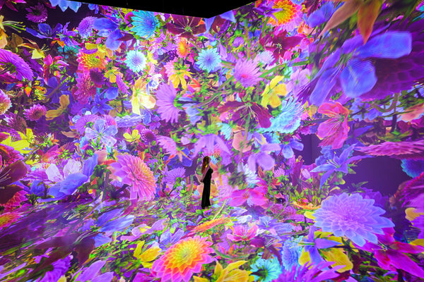 woman in timeless butterflies exhibit