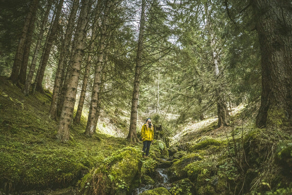 Woman-in-Woods-Looking-Up