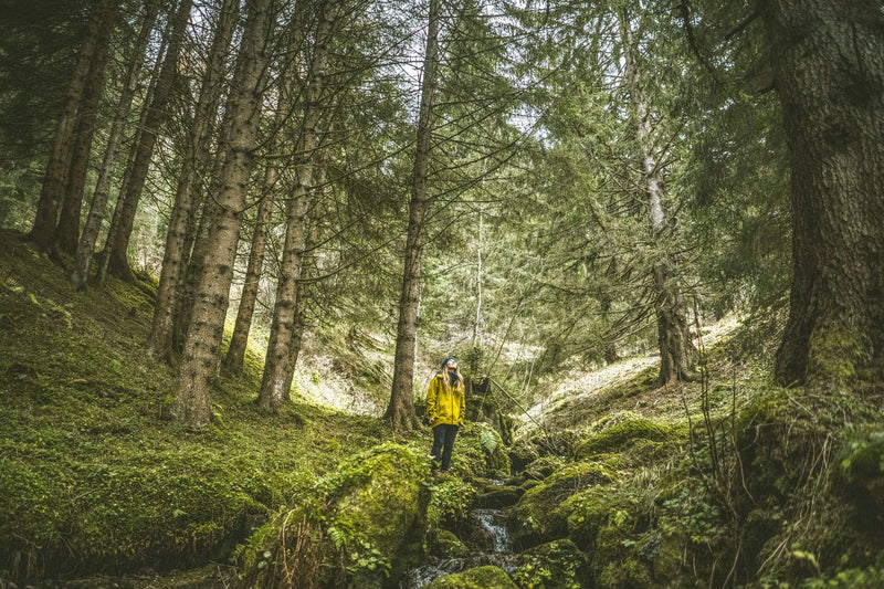 Woman-in-Woods-Looking-Up