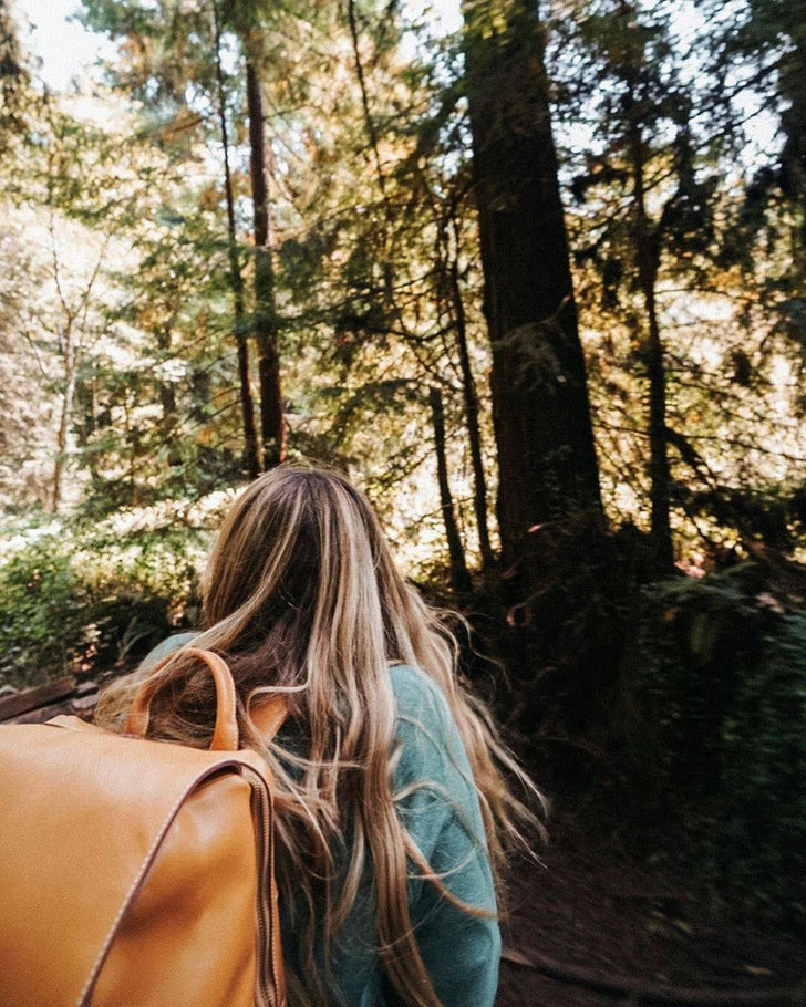 Redwood Hiking Tour & Train Ride with Picnic Lunch
