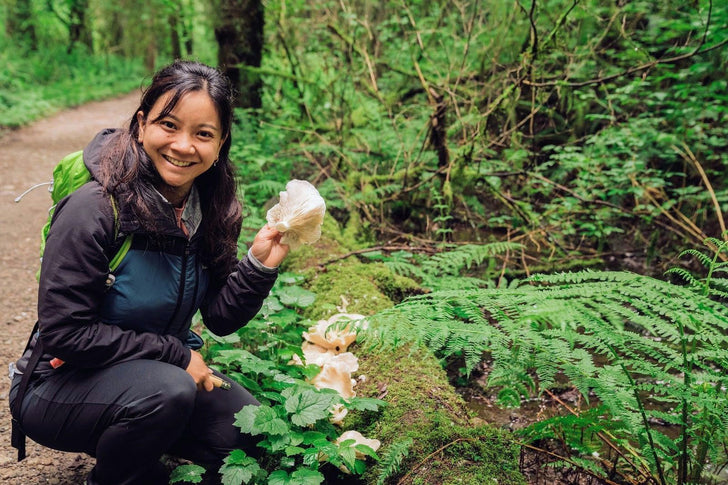 Seattle Mushroom Foraging 101