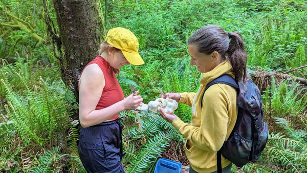 women-foraging-mushrooms