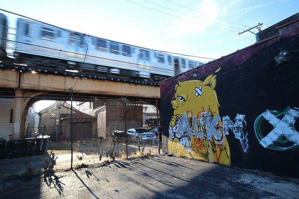 Yellow Bear Mural
