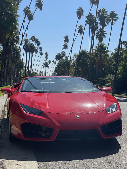 Lambo parked on street with palm trees
