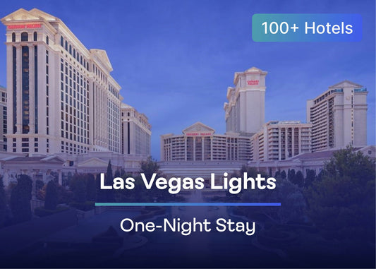 Las Vegas Lights.jpg